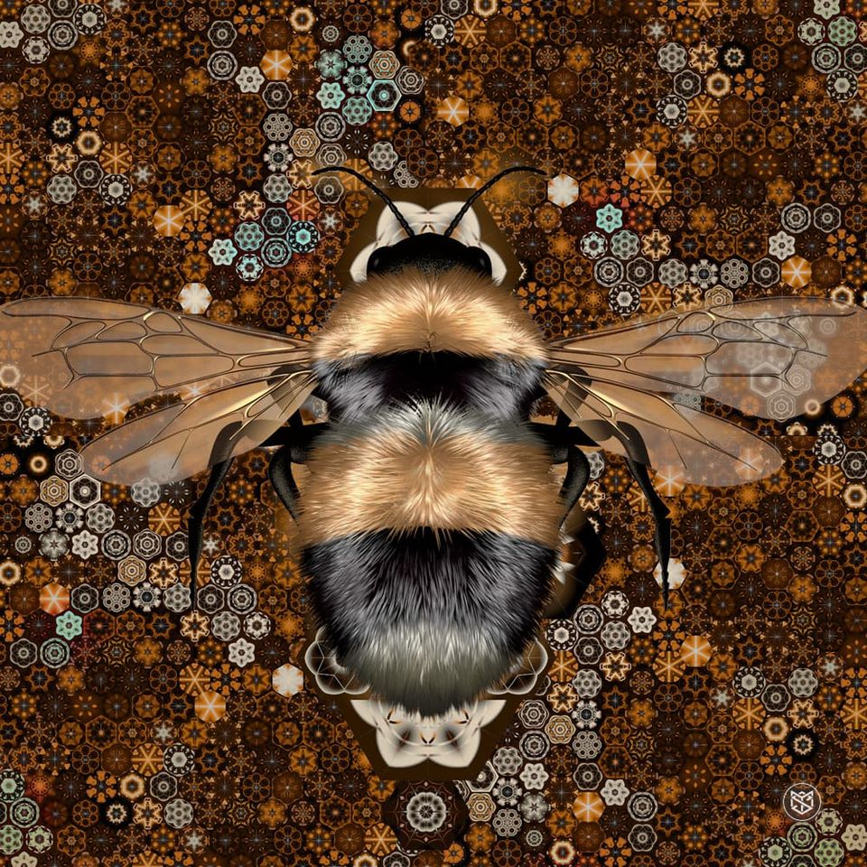 Mathematics In Nature