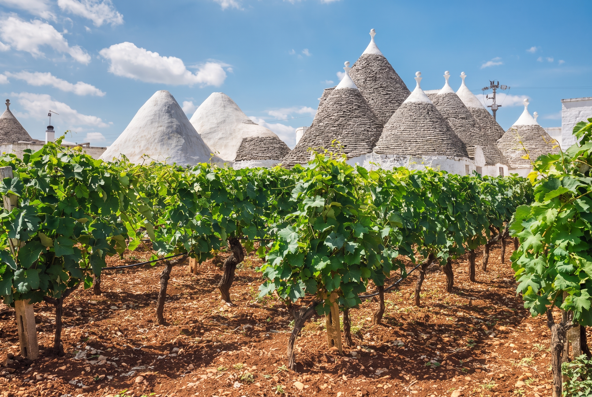 Puglia, Italy