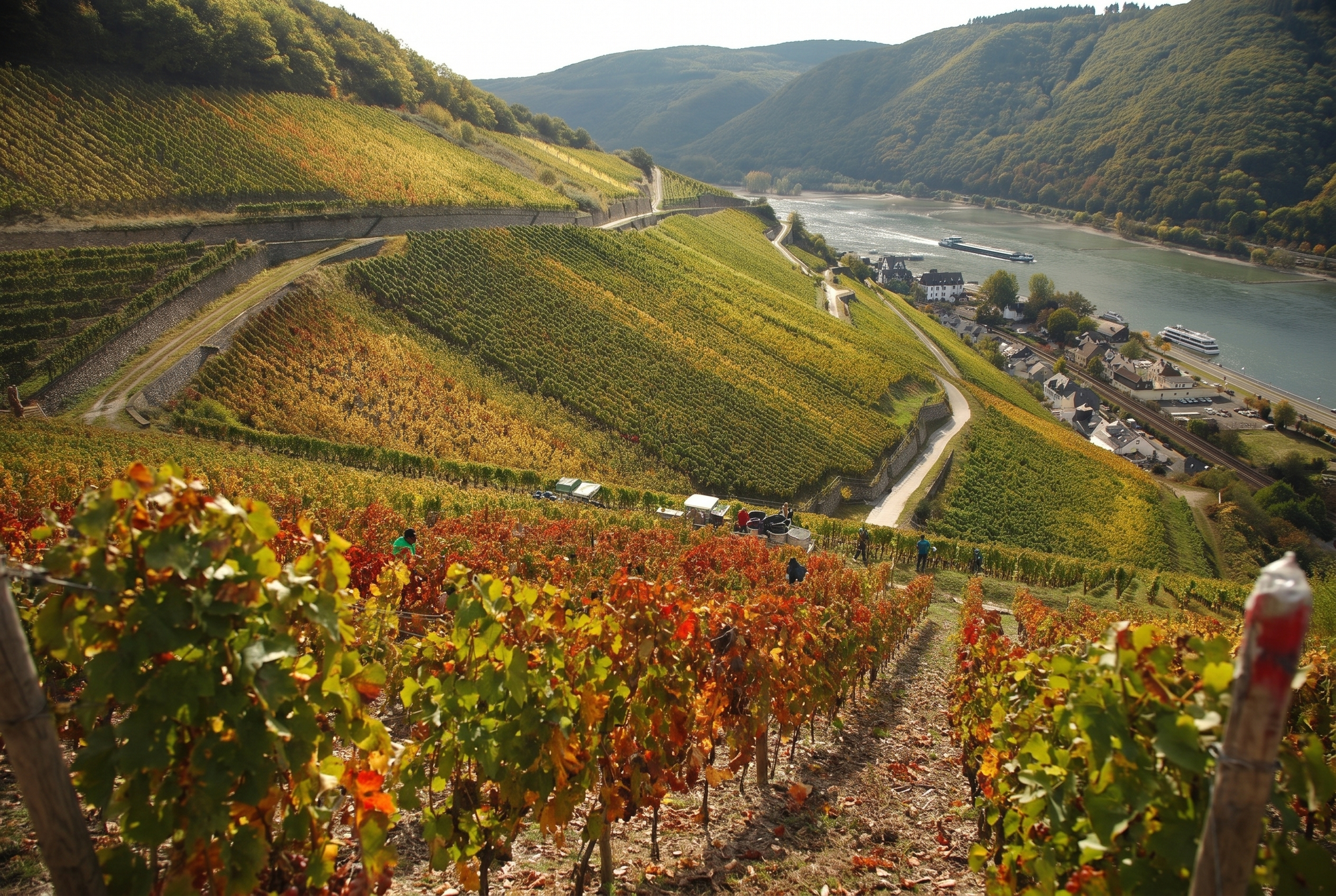Rheingau, Germany