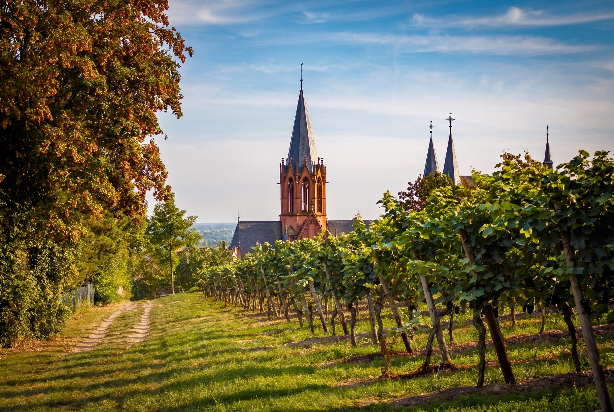 Rheinhessen, Germany