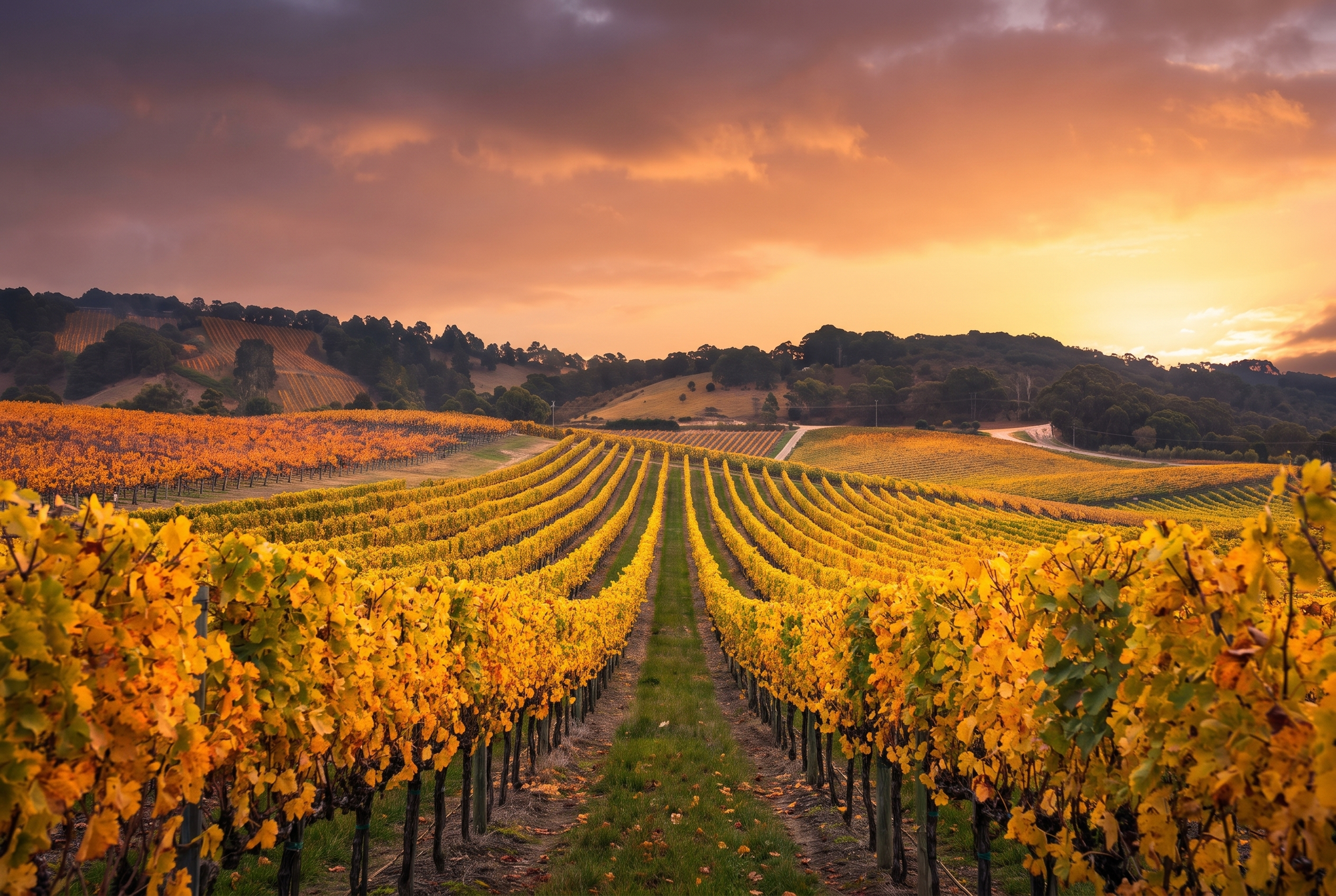 Hunter Valley, Australia