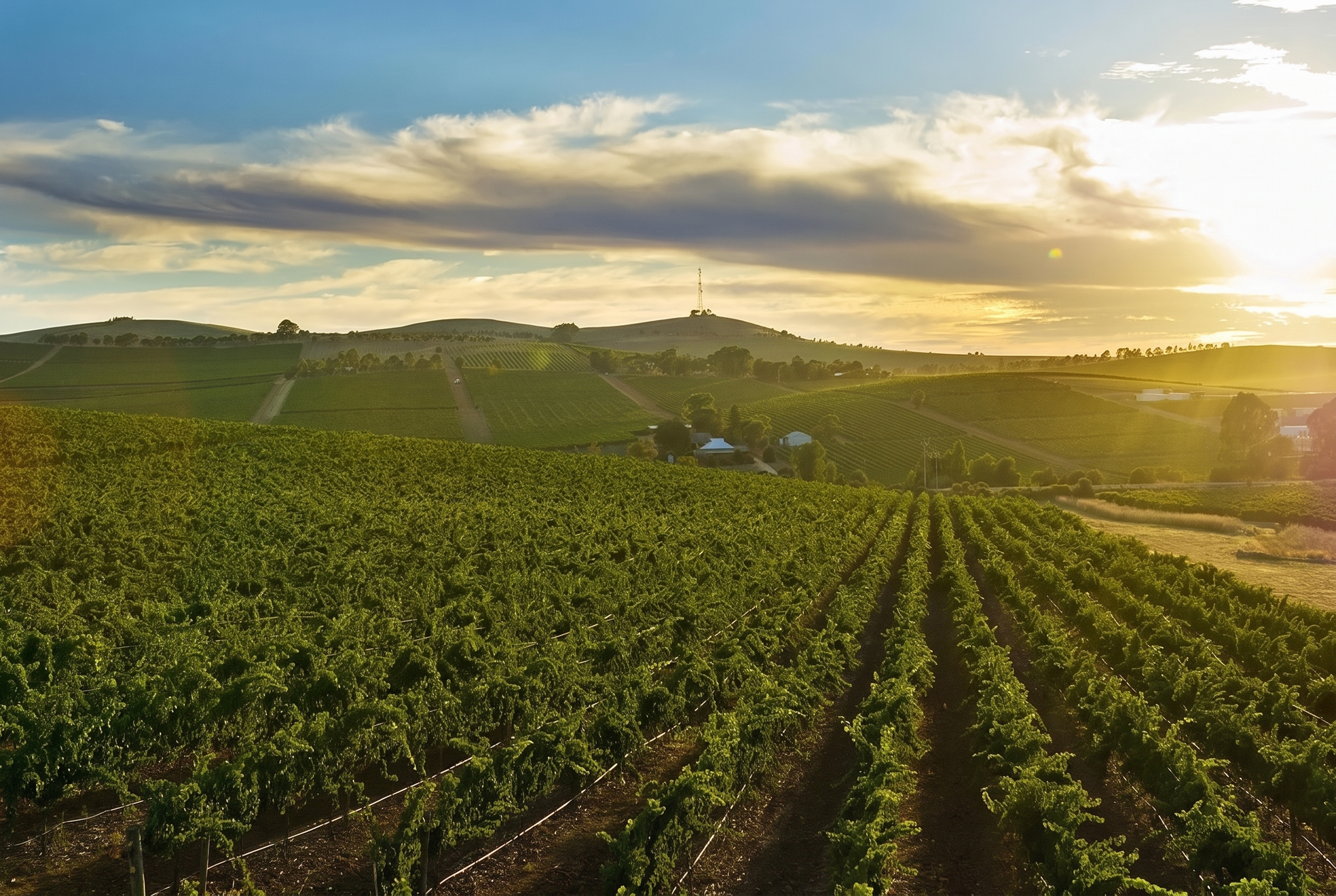 Clare Valley, Australia