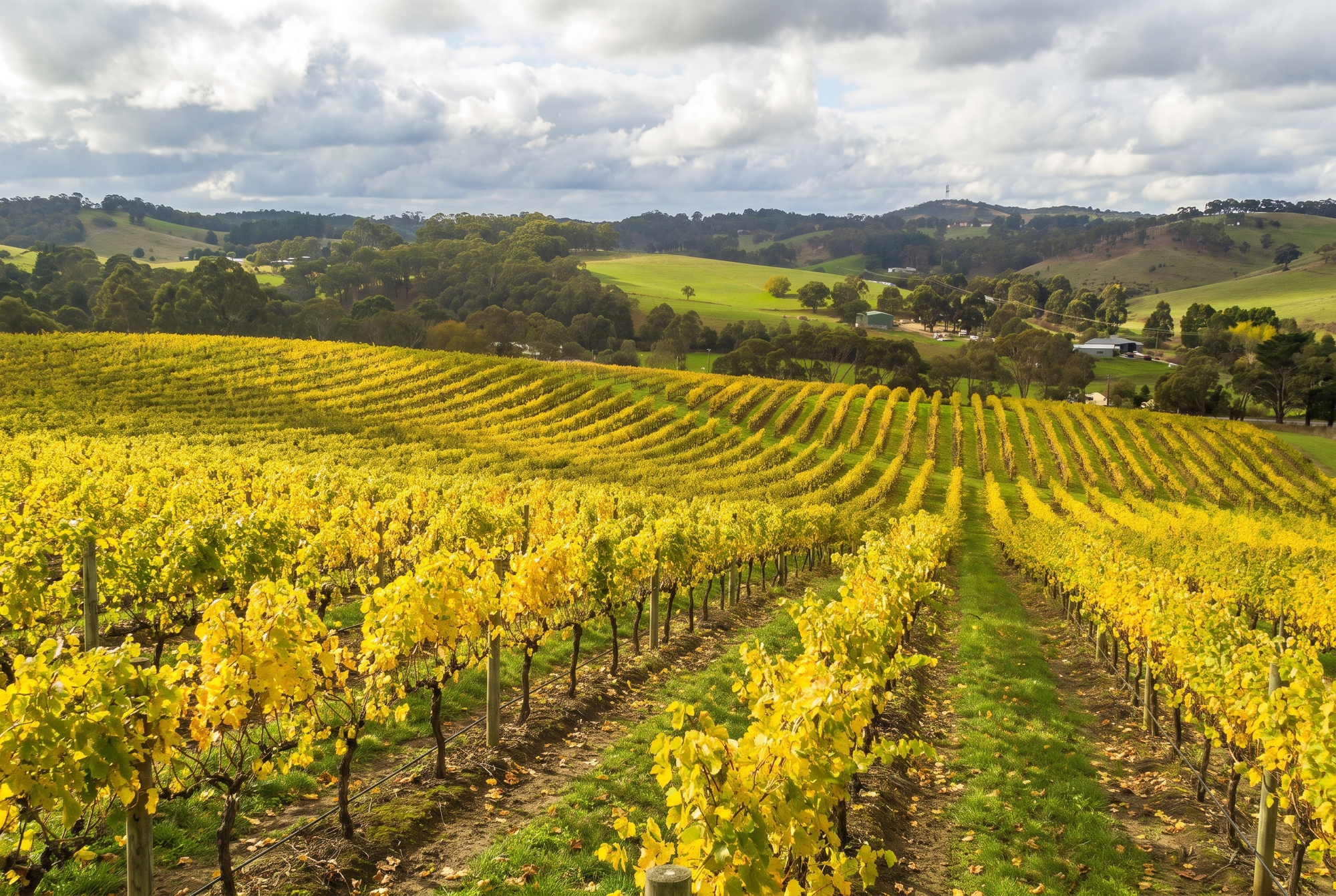 Adelaide Hills, Australia