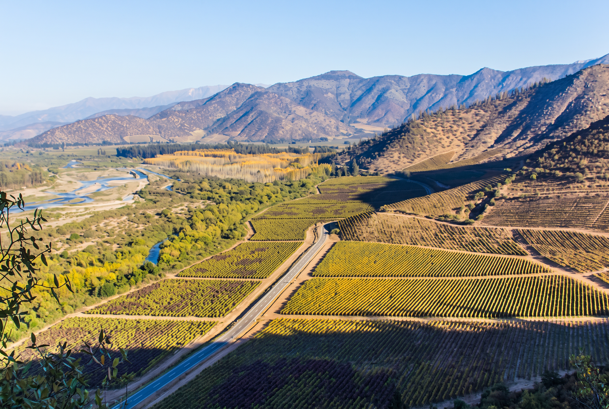 Maipo Valley, Chile