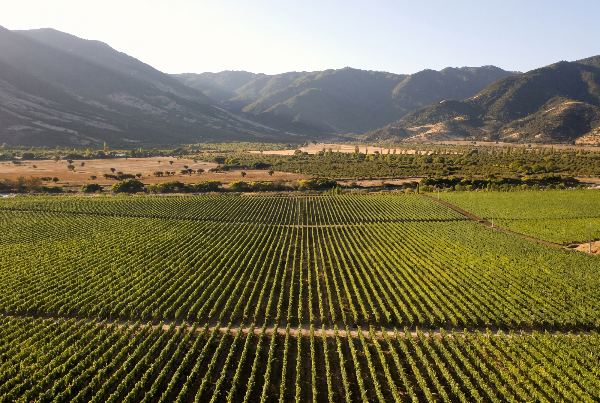 Colchagua Valley, Chile