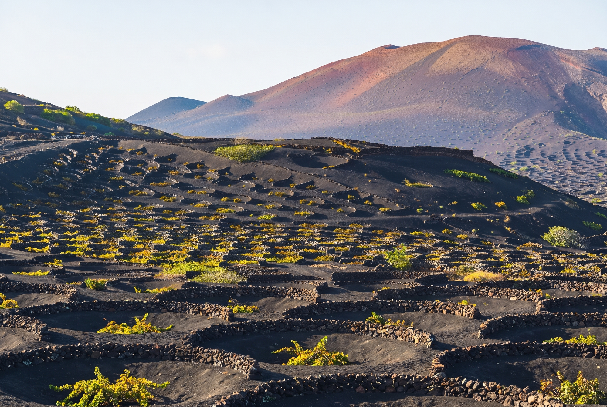 Canary Islands, Spain