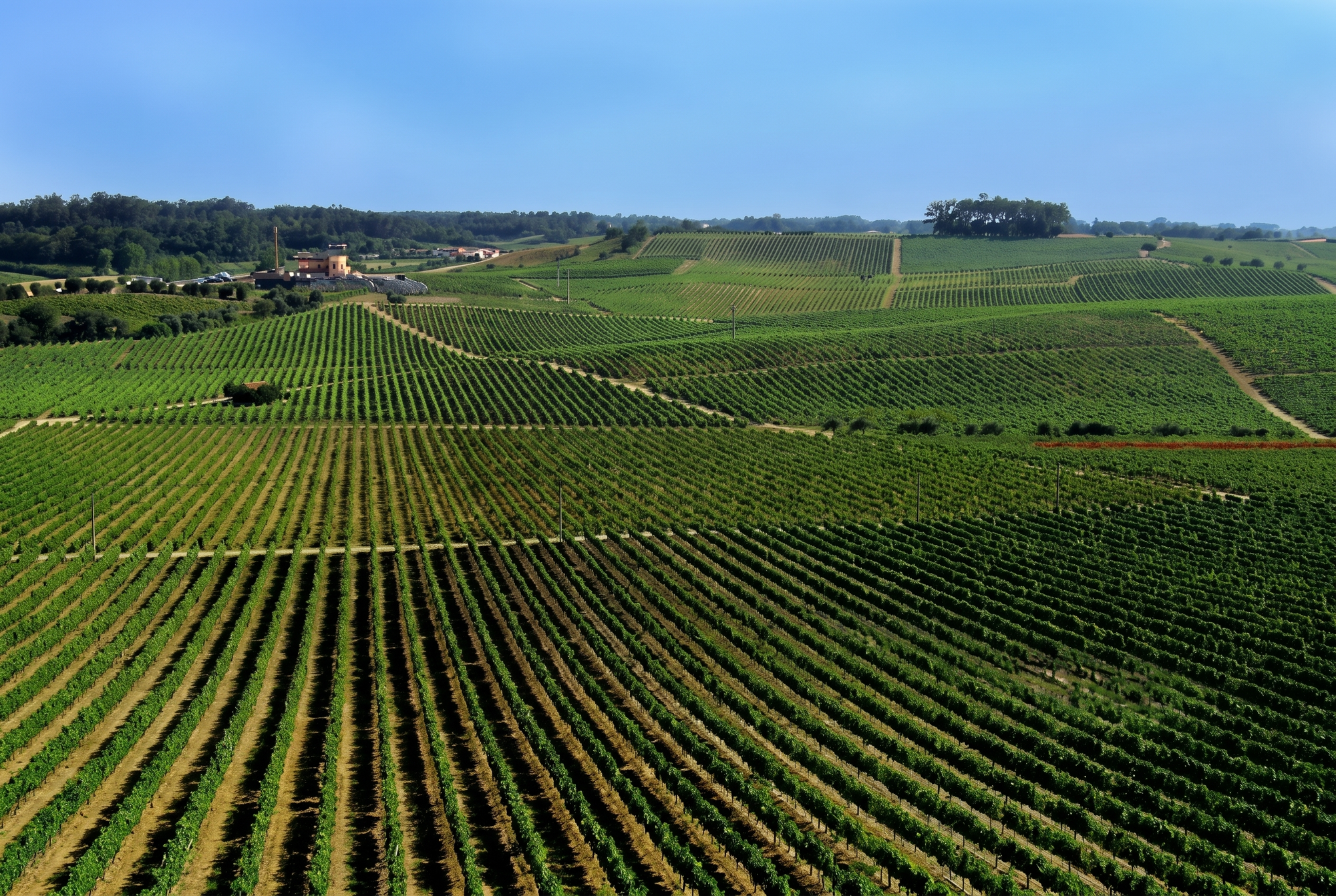 Bairrada, Portugal