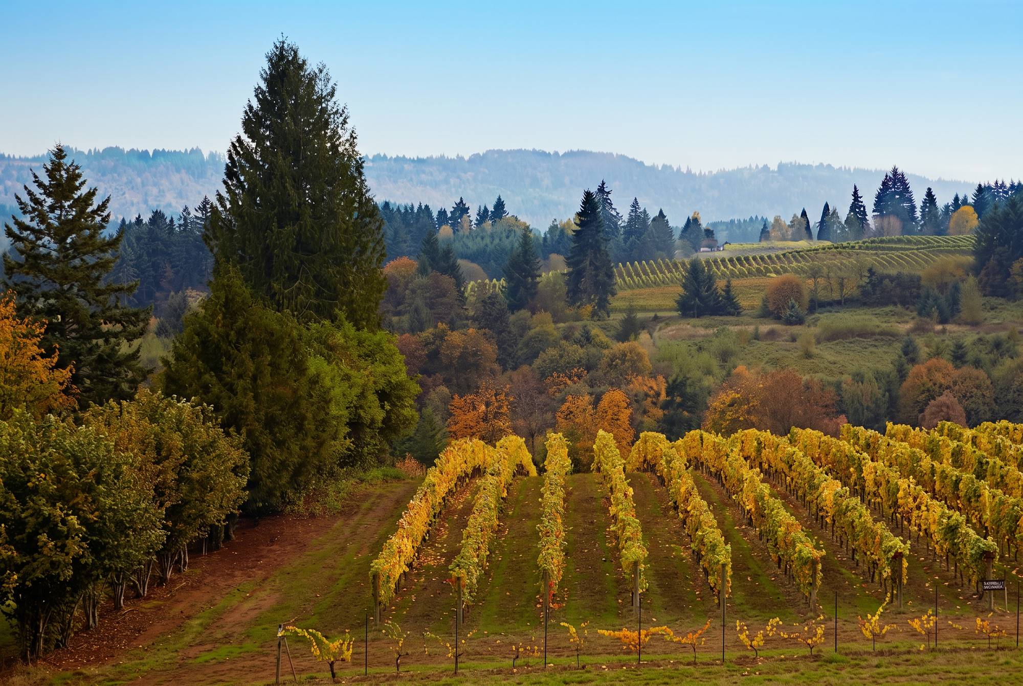Willamette Valley, USA