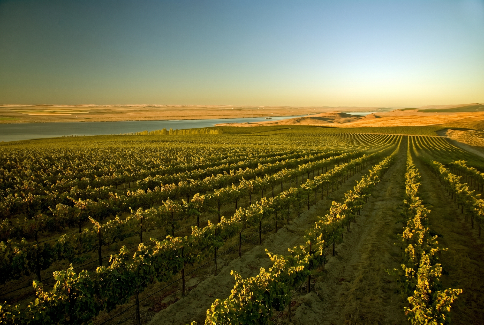 Columbia Valley, USA