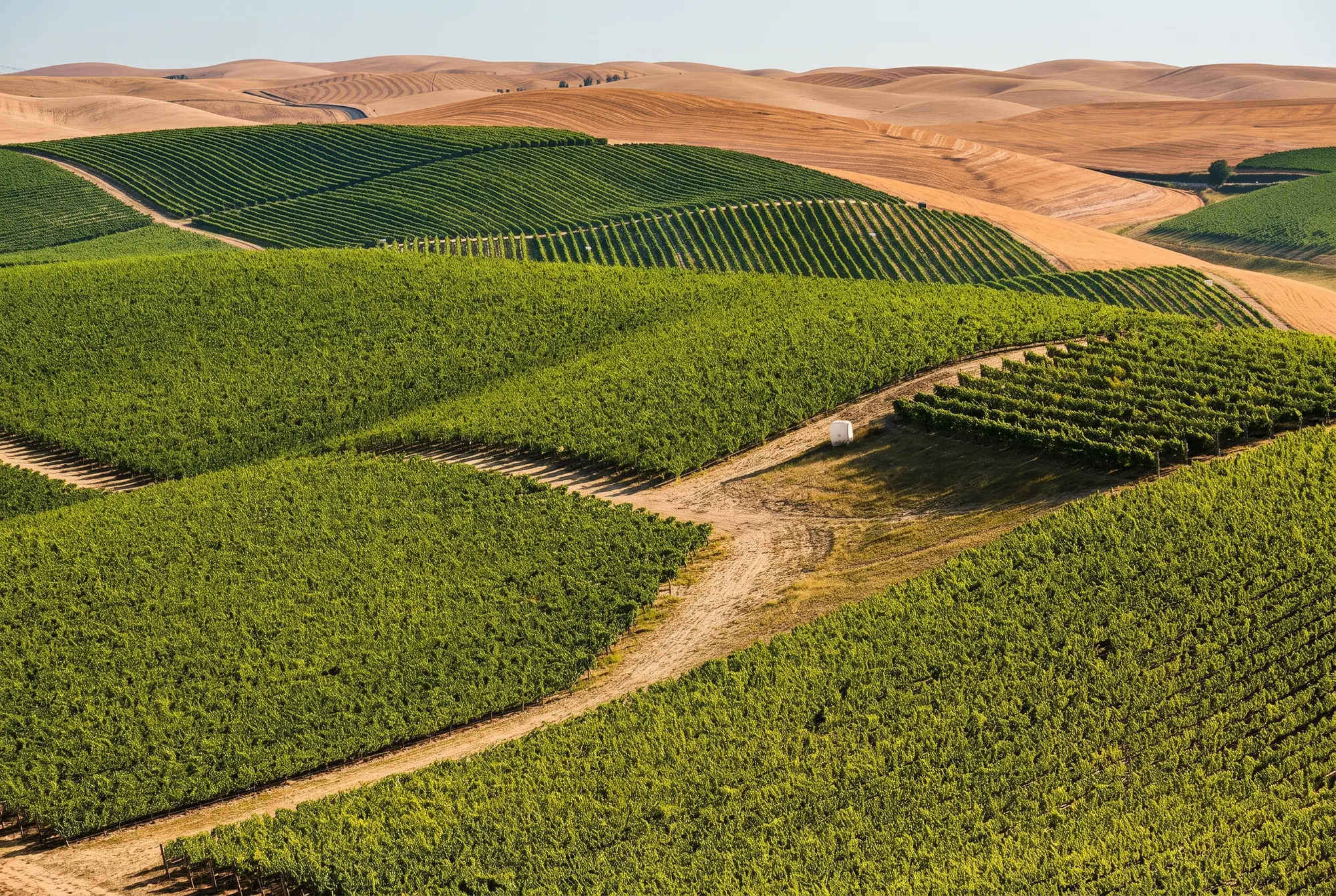 Walla Walla Valley, USA