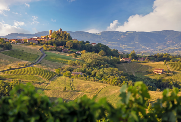 Beaujolais, France