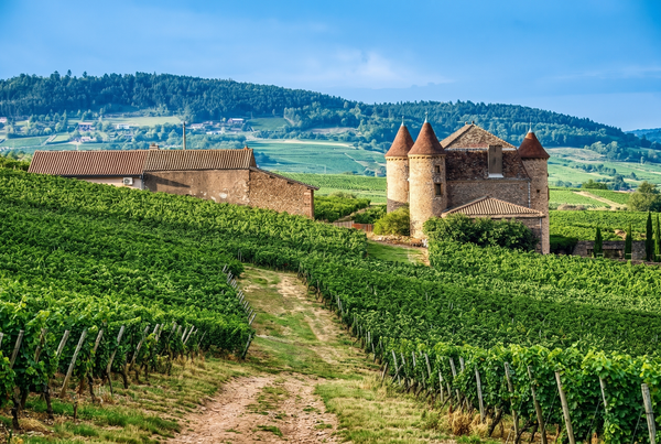 Burgundy, France