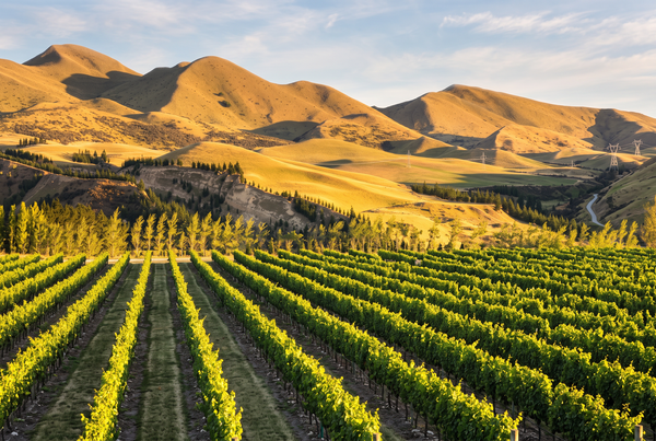 North Canterbury, New Zealand