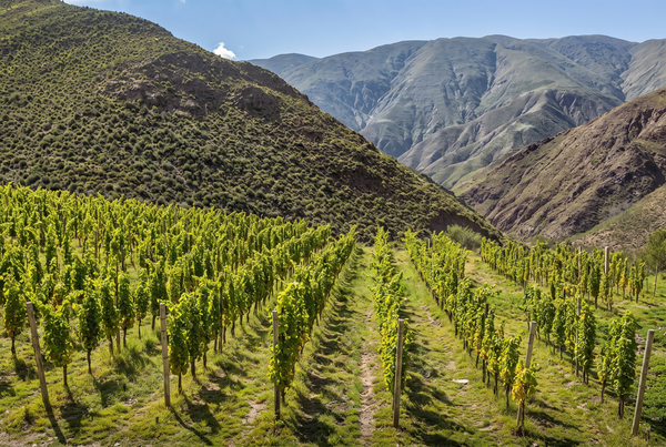 Salta, Argentina