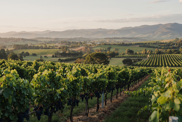 Yarra Valley, Australia