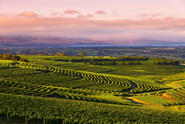 McLaren Vale, Australia