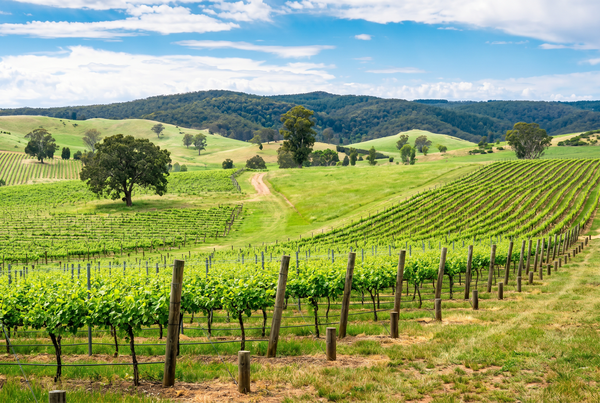 Coonawarra, Australia