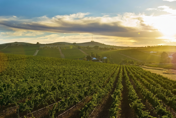 Clare Valley, Australia