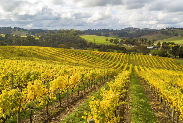 Adelaide Hills, Australia