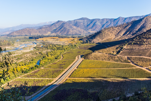 Maipo Valley, Chile