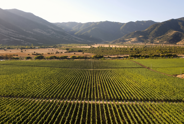 Colchagua Valley, Chile
