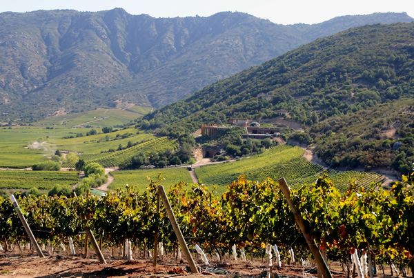 Maule Valley, Chile