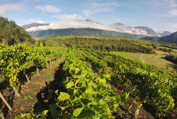 Itata Valley, Chile