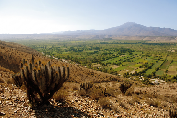 Limarí Valley, Chile