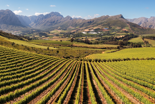 Stellenbosch, South Africa
