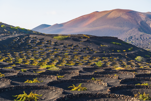 Canary Islands, Spain
