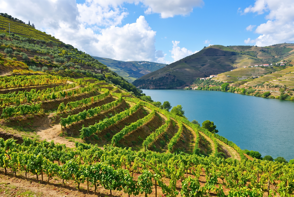 Vinho Verde, Portugal