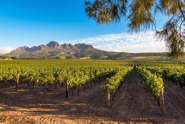 Franschhoek Valley, South Africa