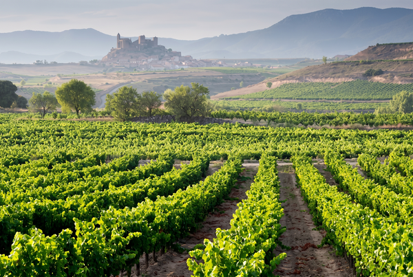 Rioja, Spain