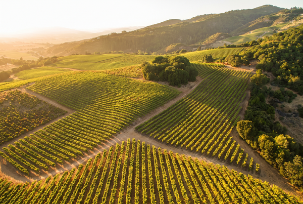 Sonoma County, USA