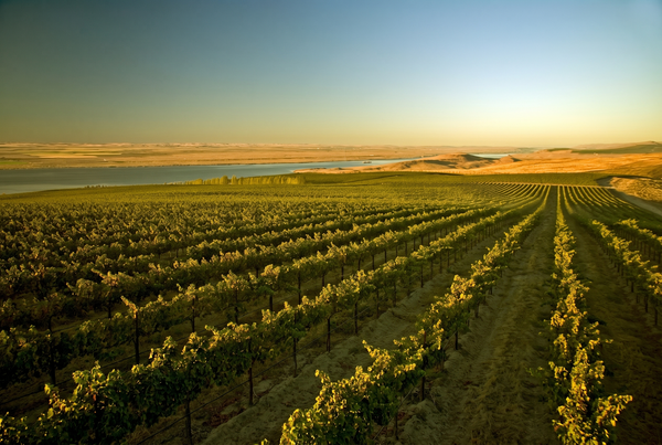 Columbia Valley, USA