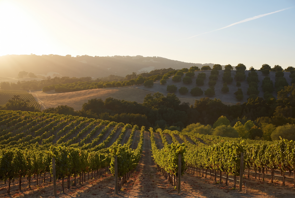 Paso Robles, USA