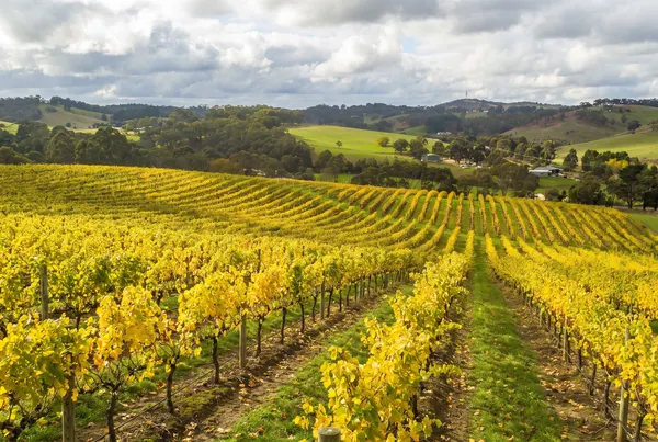 Adelaide Hills, Australia