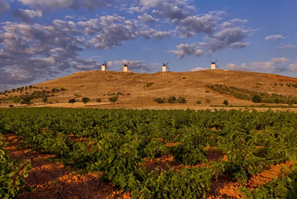 Castilla-La Mancha, Spain