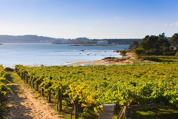 Galicia, Spain