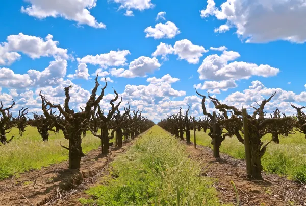 Lodi, USA