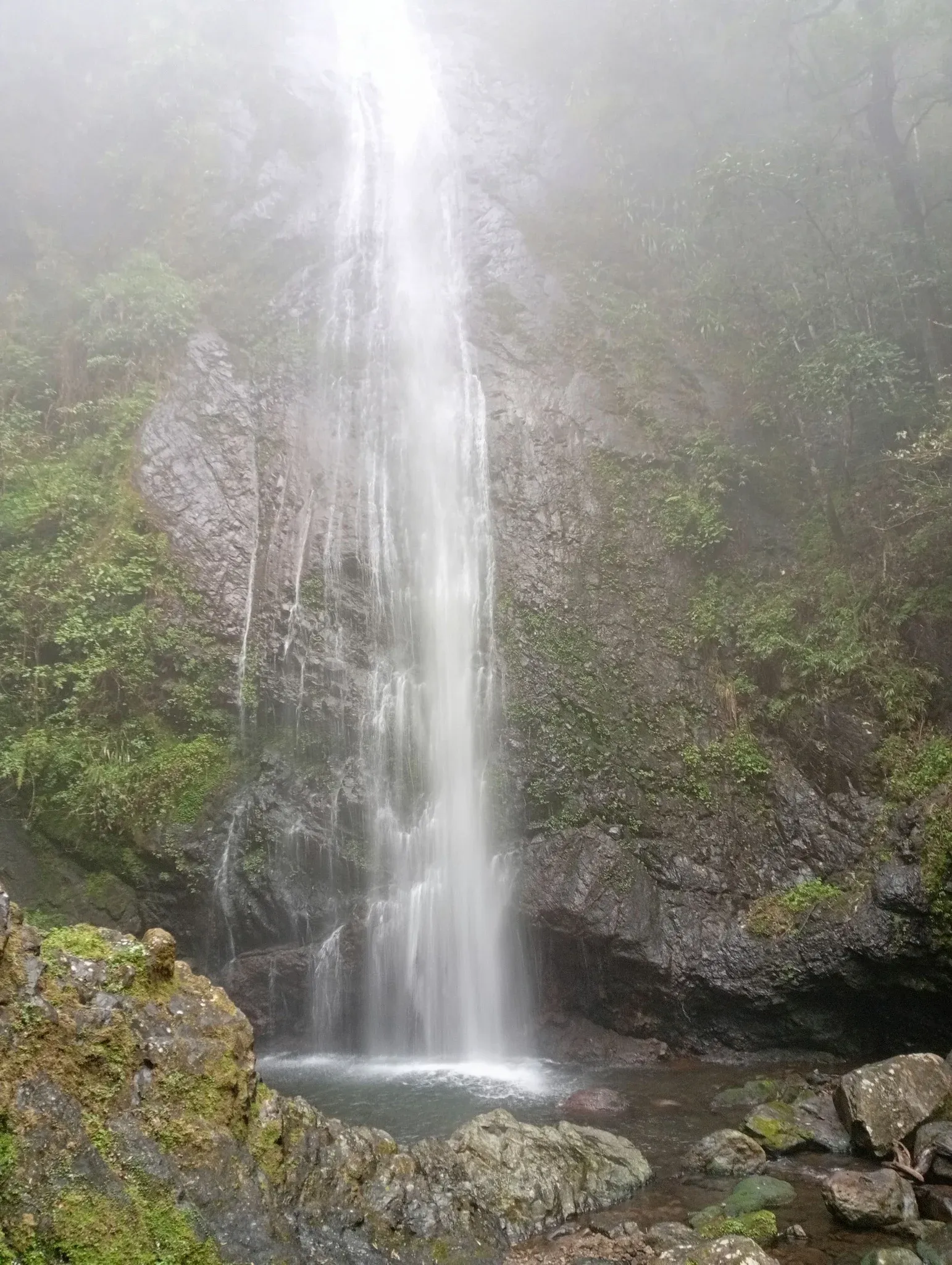 cascadas cerca de la CDMX