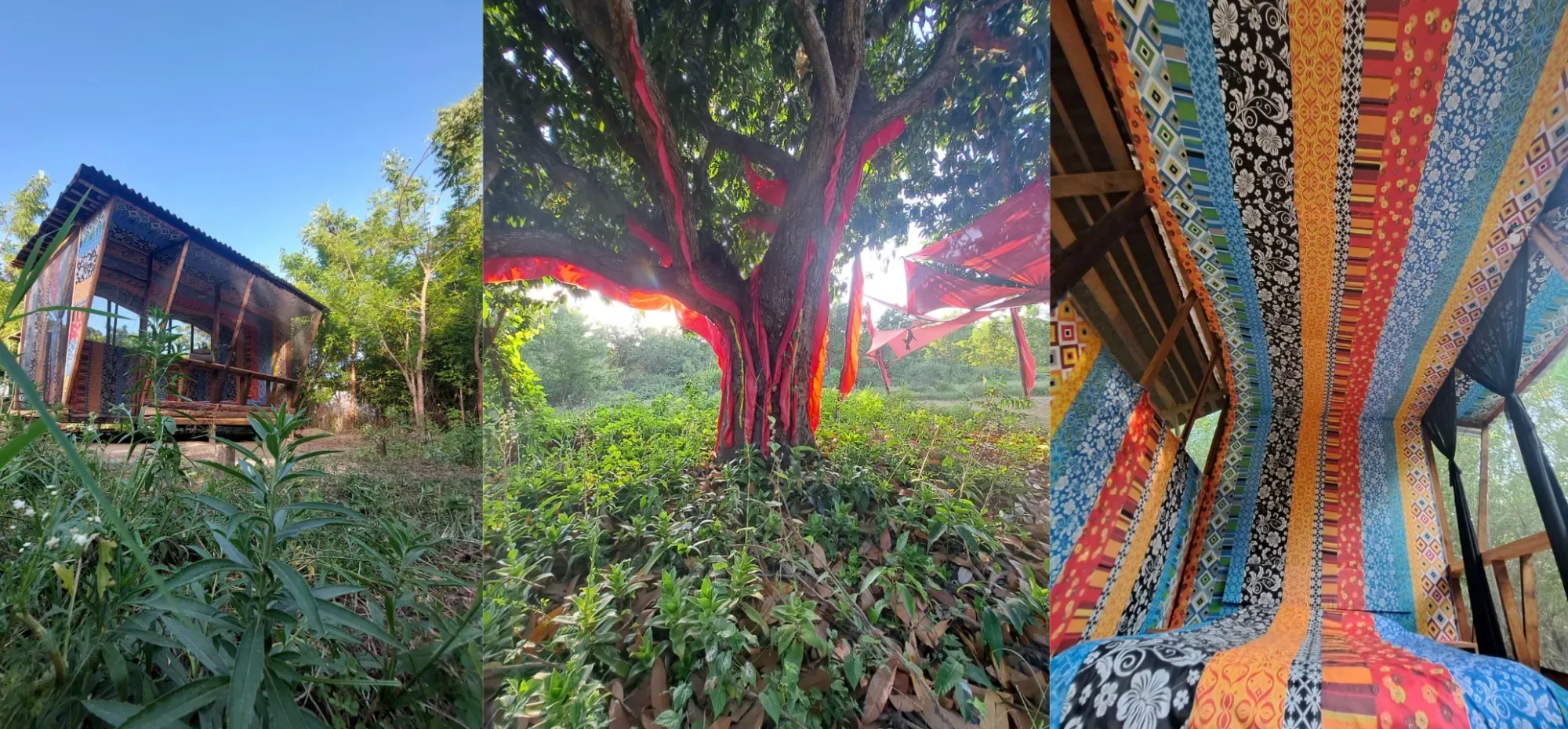 cabaña en medio del bosque. Glamping en Oaxaca.