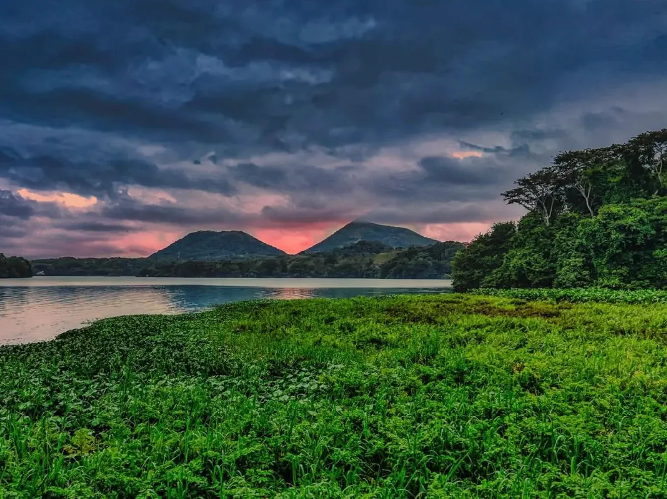 atardecer en la selva de Reserva Ecológica de Nanciyaga.