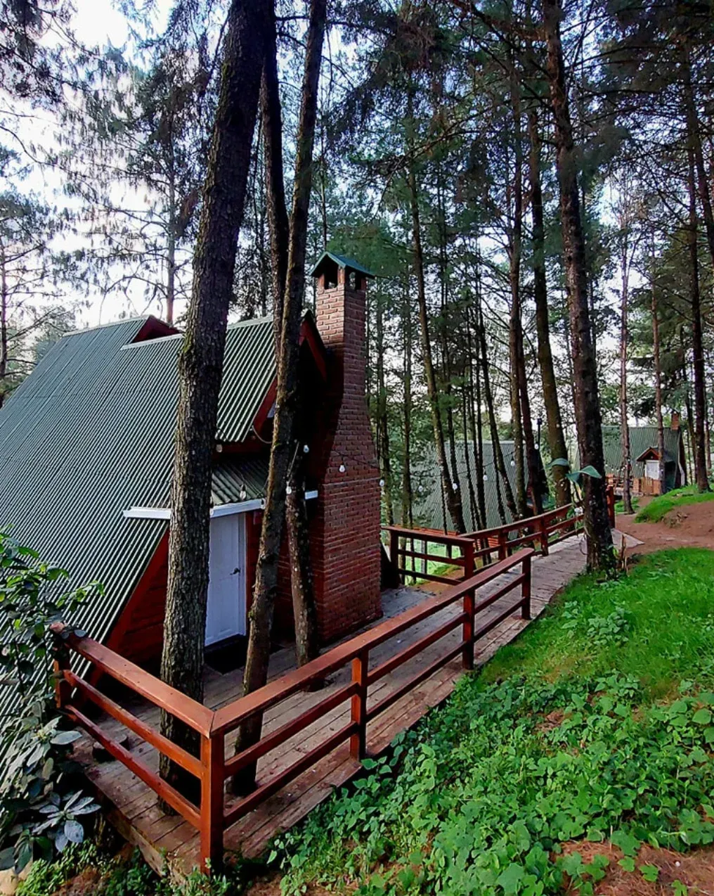 cabaña en el bosque de veracruz