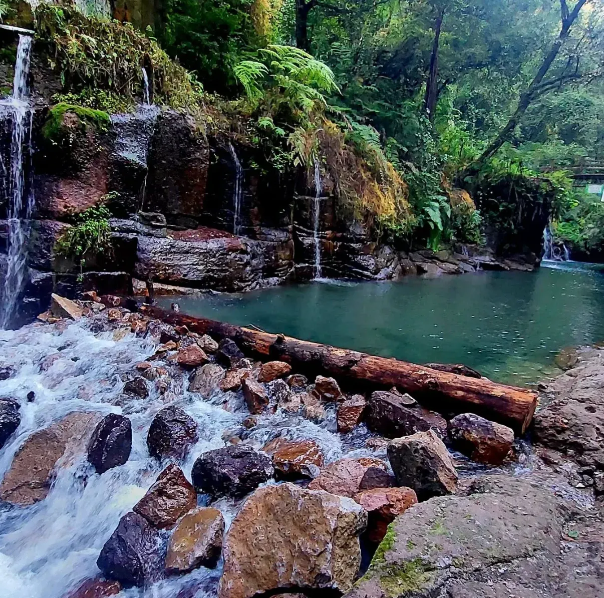 aguas del río en pancho poza veracruz