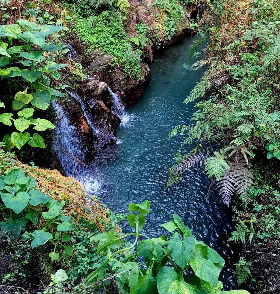 río en veracruz en reserva ecológica