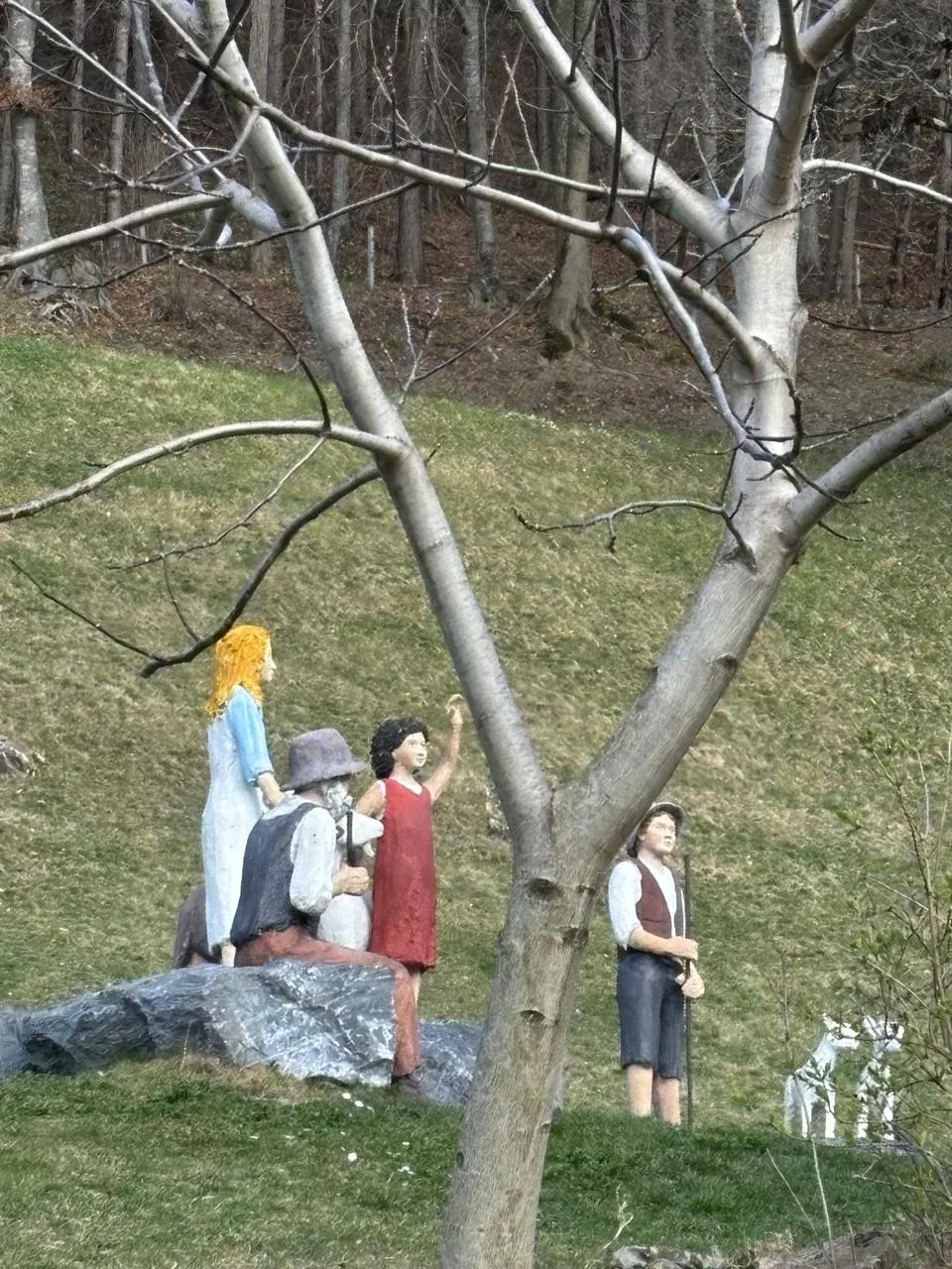 heidi en maienfeld.