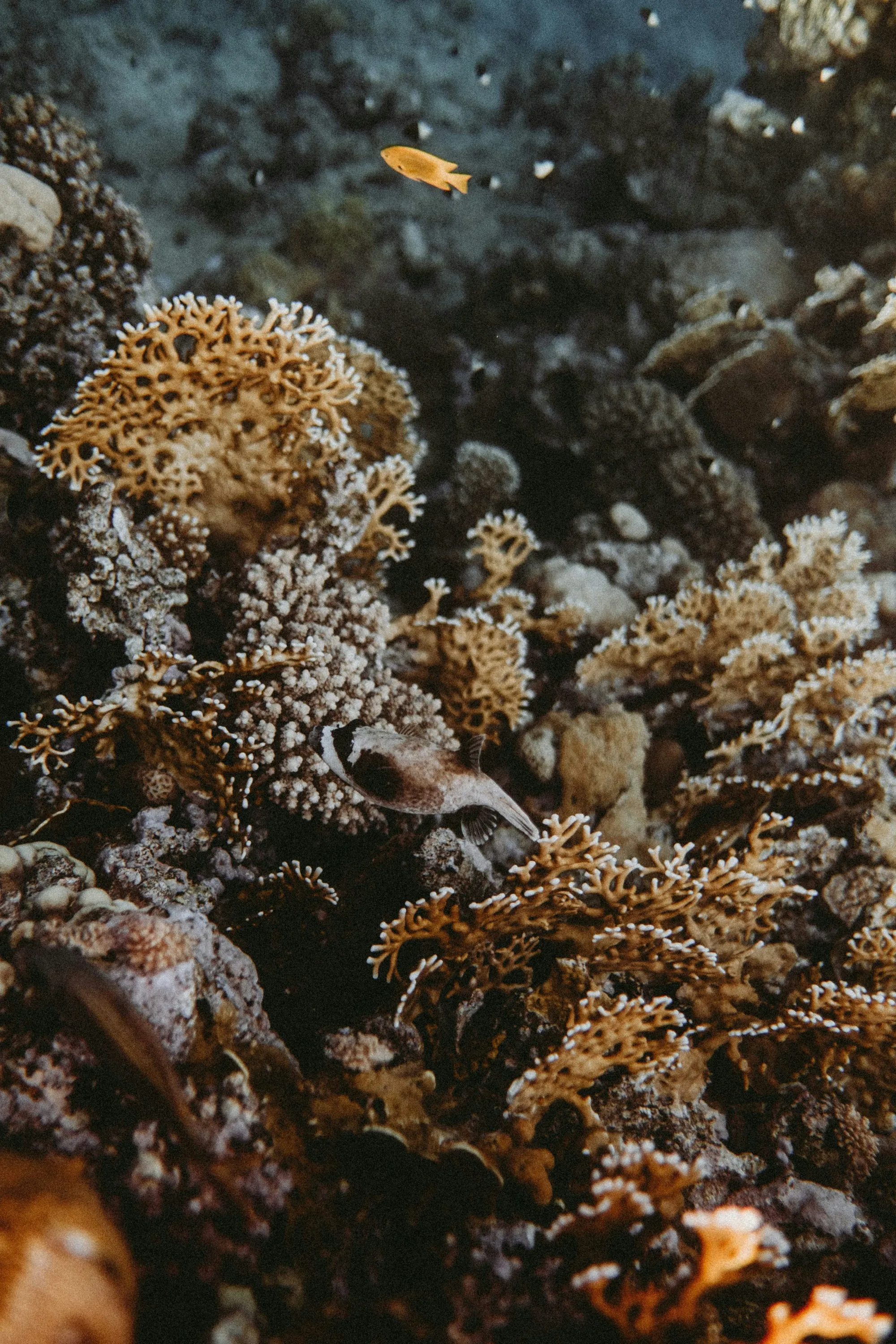 Journal of Sustainable Tourism