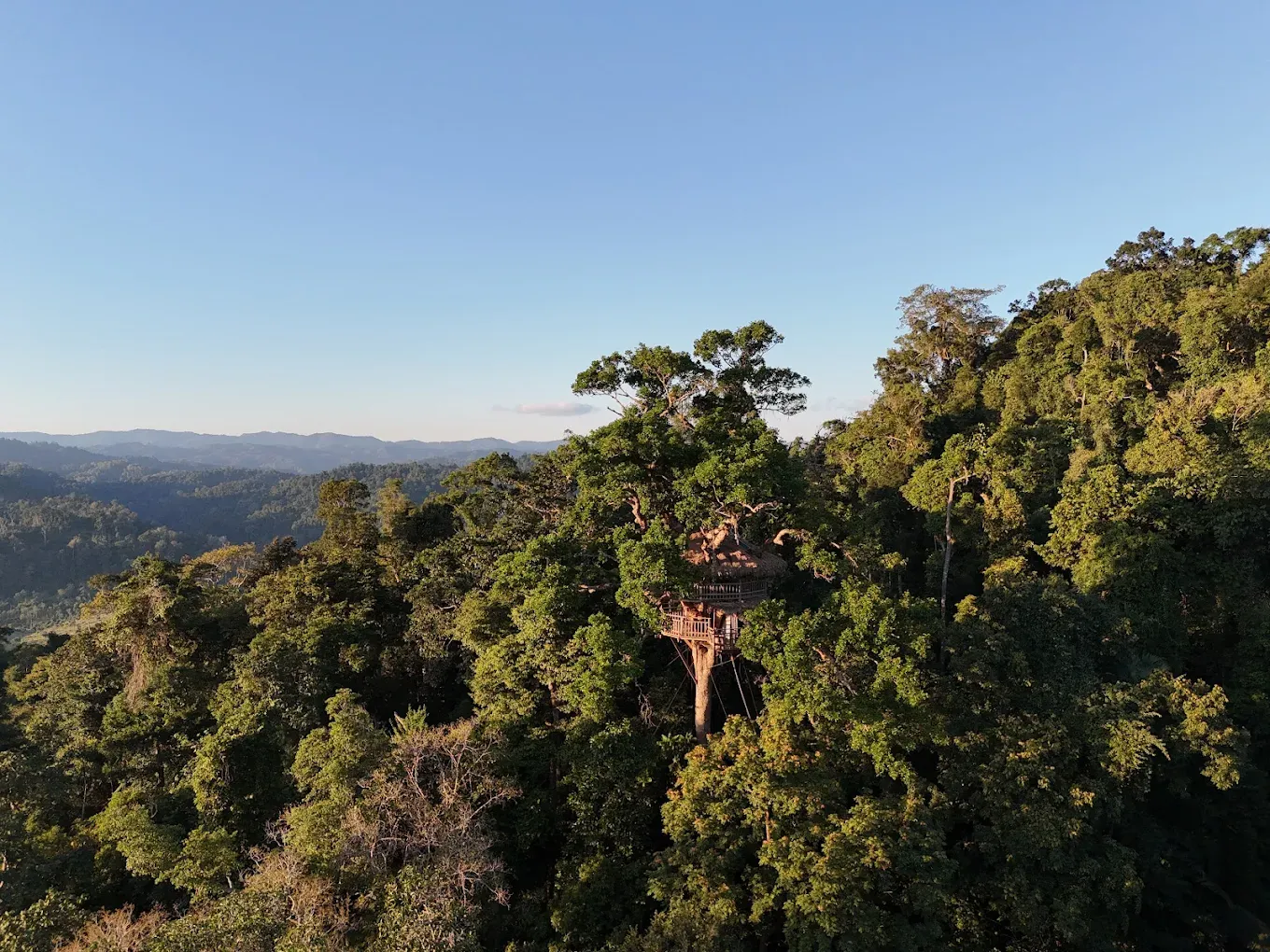 canopy house tree in the middle of Laos
