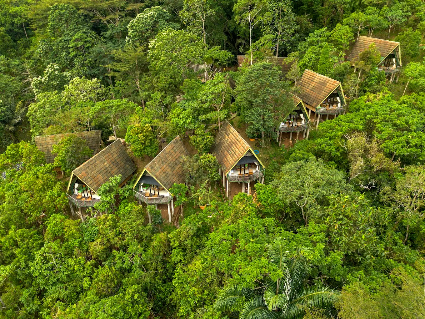 hotel in the middle of the pink beach in indonesia.
